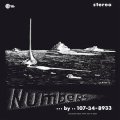 107-34-89 (Nik Pascal Raicevic) "Numbers" [LP]
