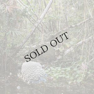 画像1: Luca Trevisani "Amazoom" [White LP]