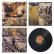 画像2: Jeph Jerman "Burn-im-rag" [LP] (2)