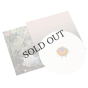 画像2: Luca Trevisani "Amazoom" [White LP]