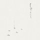 高野昌昭 / Masaaki Takano "しずくたち / Shizukutachi” [Ultra Clear LP + 20 page A4 booklet + 2 postcards]