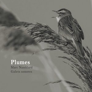 画像1: Marc Namblard "Plumes" [CD]