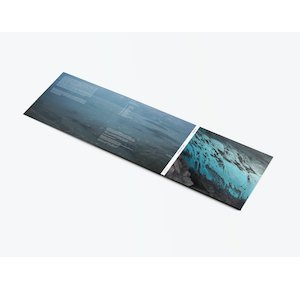 画像2: Marc Namblard "Arctic Summer" [CD]