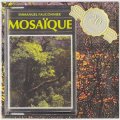 Emmanuel Fauconnier "Mosaique" [CD-R]