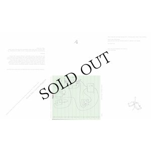 画像2: Kieran Daly & Luciano Maggiore "Complex Envelope Functions From Nonlinear I/O and Feature Extraction Etc. / Automatic Love" [CD]
