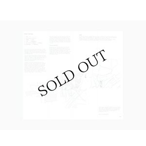 画像3: Mesmer "Terrain Vague" [CD + print]