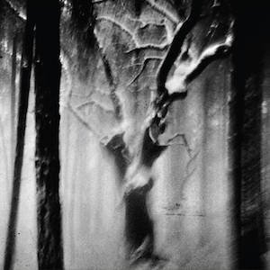 画像1: Bruno Duplant "paysages sans age III" [CD]