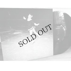 画像1: Alex Zethson / Nikos Veliotis "CRYO" [LP]