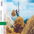 V.A "Ethiopia: Ari Polyphonies" [CD]