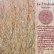 画像1: Ķæ P. Rujhaan "Nadiyaan" [CD] (1)