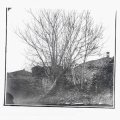 Siavash Amini "Caligo" [CD]