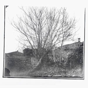 画像1: Siavash Amini "Caligo" [CD]