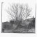 画像1: Siavash Amini "Caligo" [CD] (1)
