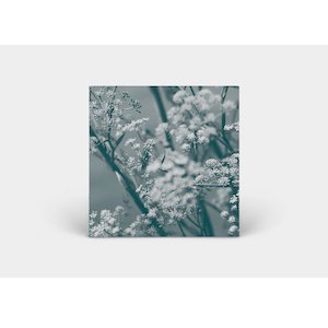 画像2: Theresa Wong "Journey to the Cave of Guanyin" [CD]