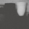 Merzbow "The Prosperity Of Vice, The Misfortune Of Virtue" [CD]