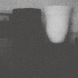 画像1: Merzbow "The Prosperity Of Vice, The Misfortune Of Virtue" [CD]