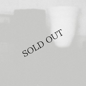 画像1: Merzbow "The Prosperity Of Vice, The Misfortune Of Virtue" [CD]