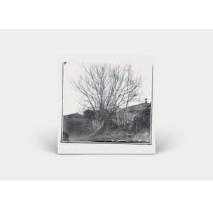 画像2: Siavash Amini "Caligo" [CD]