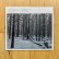 画像2: Fire Nearby "Fruits of Patience" [CD] (2)