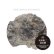 画像1: 灰野敬二 & 森田潤 / EIJI HAINO & JUN MORITA [CD] (1)