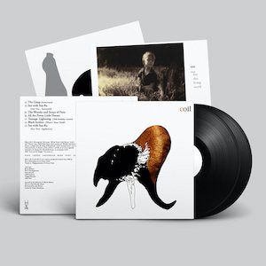画像1: Coil "Black Antlers" [2LP]