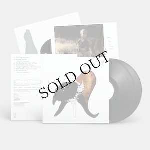 画像1: Coil "Black Antlers" [2LP]