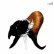 画像1: Coil "Black Antlers" [CD] (1)