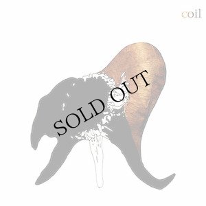 画像2: Coil "Black Antlers" [2LP]