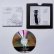 画像2: M. B. "Live at R.P.M. 01.01.1983" [CD-R] (2)