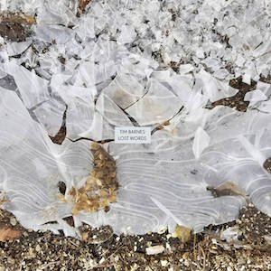 画像1: Tim Barnes "Lost Words" [LP]