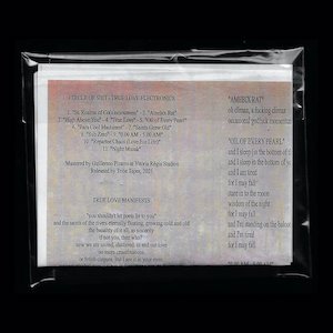 画像2: Circle Of Shit "True Love Electronics" [CD]