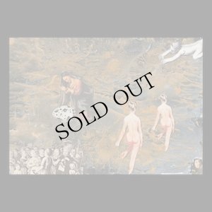 画像3: Are Mundal "Songs for the Anechoic Chamber" [LP]