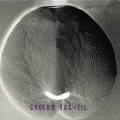 Choeur tac-til "Blind ecosystem" [CD]