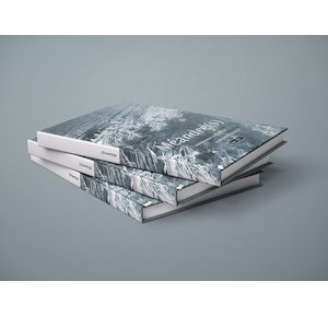 画像2: Le UN "Meandre(s)" [CD + DVD + A 132 pages book]