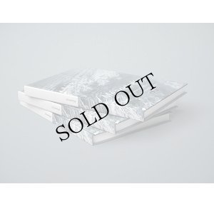 画像2: Le UN "Meandre(s)" [CD + DVD + A 132 pages book]