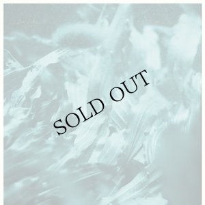 画像3: Jon Collin "The Other Dead Sea" [LP]