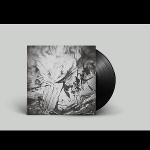 画像1: Aki Onda "In the Depth of Illusion: A Soundtrack for Nervous Magic Lantern" [Sign - LP]