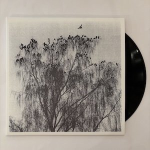 画像2: Nærværet "Nar Man Ser Inn I En Annens Hjerte" [LP]