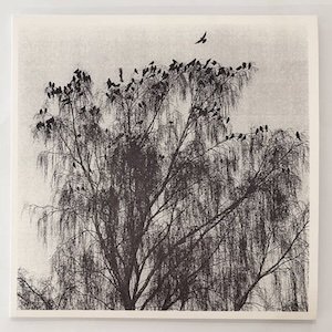 画像1: Nærværet "Nar Man Ser Inn I En Annens Hjerte" [LP]