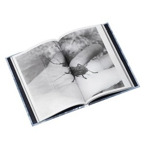 画像4: Le UN "Meandre(s)" [CD + DVD + A 132 pages book]