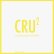 画像1: V.A "Cru 2 (Pauline Oliveros, Henri Chopin, T. Wishart, Gil J Wolman)" [Magazine + CD + DVD] (1)