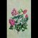 画像2: Hideaki Shimada "Running around the Crape Myrtles" [Cassette] (2)