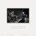画像3: Evan Parker and Bill Nace "Branches" [LP] (3)
