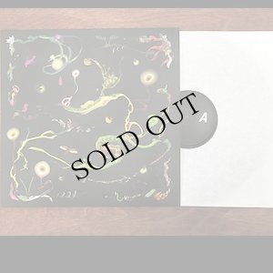 画像2: Roxane Metayer "Chenes" [LP]