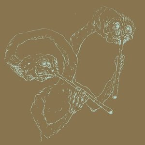 画像1: Bloedneus & de Snuitkever "MILLI MILLE" [LP]