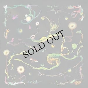 画像1: Roxane Metayer "Chenes" [LP]