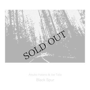 画像1: Atsuko Hatano & Joe Talia "Black Spur" [CD]