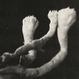 画像1: Lauten der Seele "Unterhaltungen mit Larven und Uberresten" [LP]