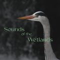 V.A "Sound of the Wetlands" [2CD]
