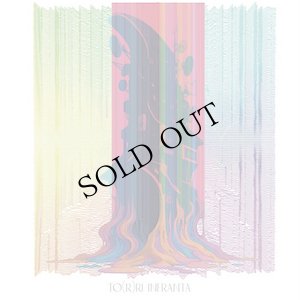 画像1: Mitsuhisa Sakaguchi / Yoshiki Ichihara "TO(R)RI INFRANTA" [CD]